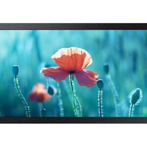 Samsung QB24R-TB Panel plano interactivo