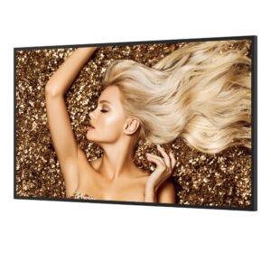 BenQ SL4302K Pantalla digital signage